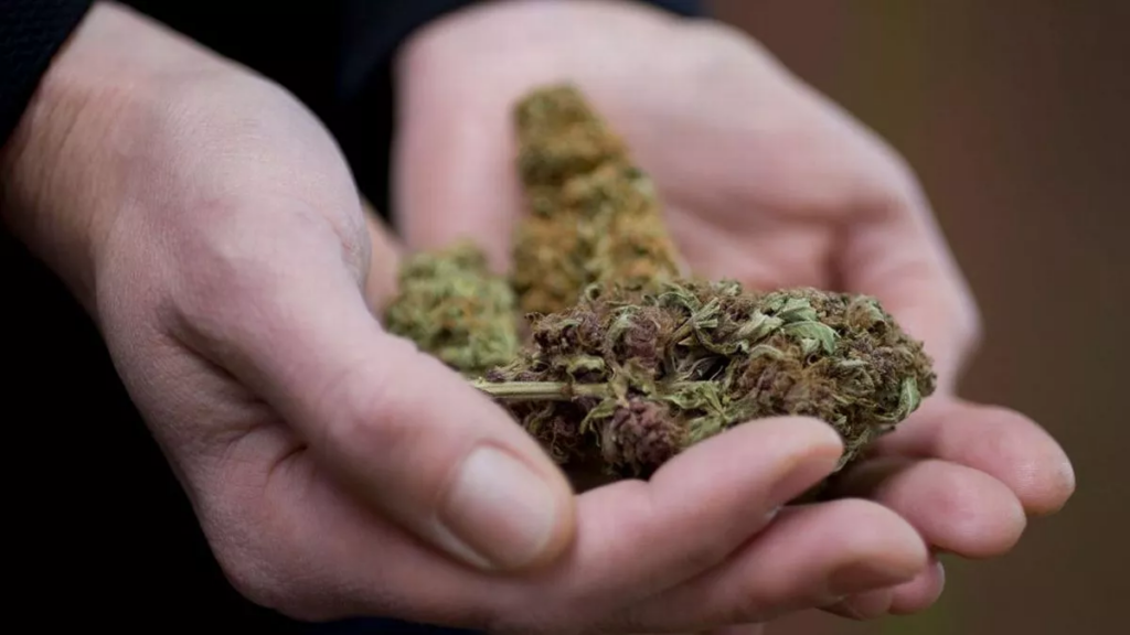 Cryptocurrency and Weed Cryptocurrency and Weed