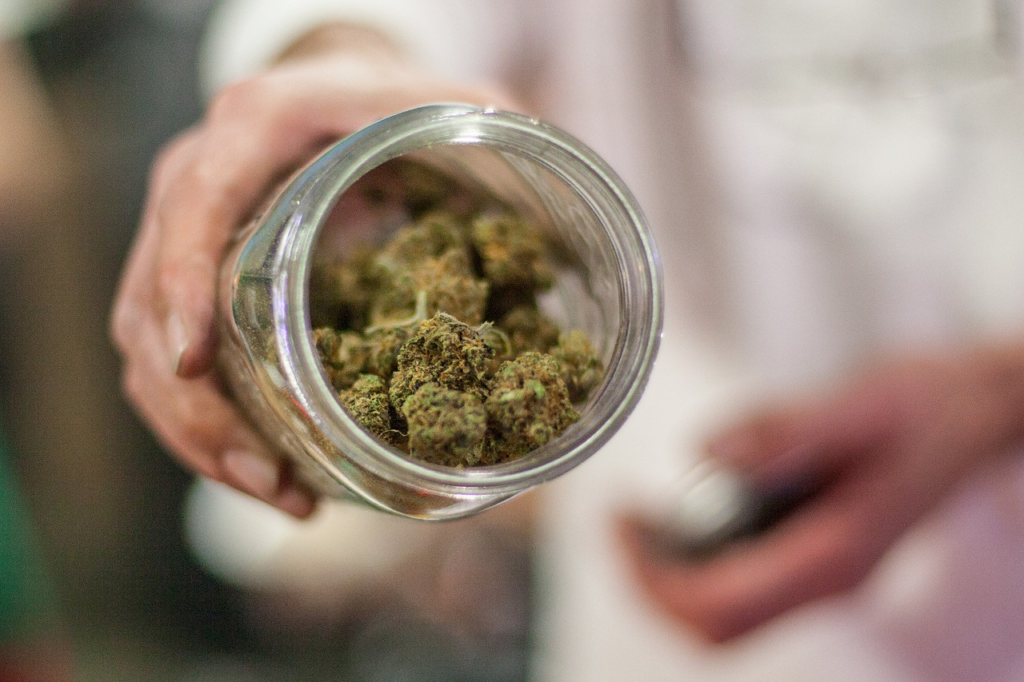 Do Marijuana Plants Need Oxygen Do Marijuana Plants Need Oxygen