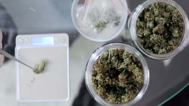 Top Indoor Strains Top Indoor Strains