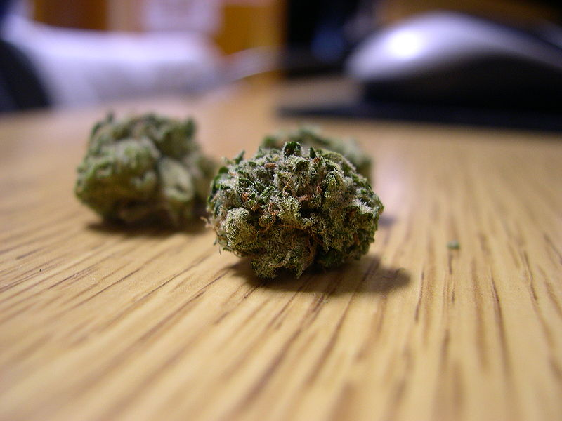 Cannabis Tolerance Cannabis Tolerance