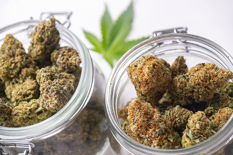 Are pre-rolls good for beginners? Are pre-rolls good for beginners?