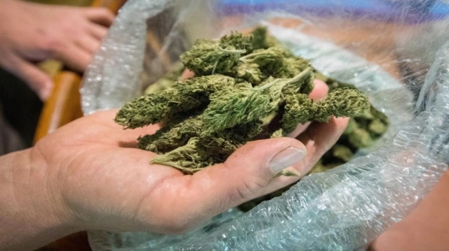 Cannabidiol (CBD): What we know and what we don't Cannabidiol (CBD): What we know and what we don't