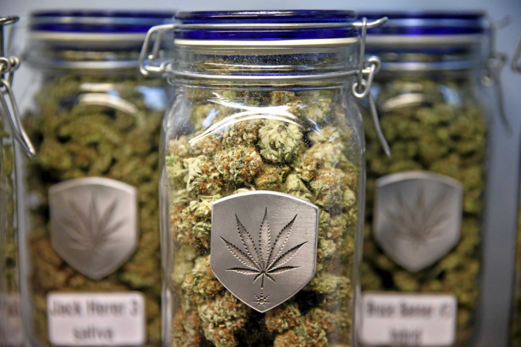 1oz Sunshine *Sativa* review 1oz Sunshine *Sativa* review