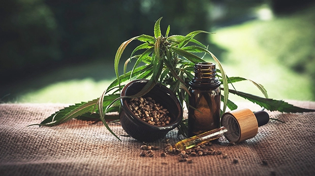 Toronto weed stores guide Toronto weed stores guide