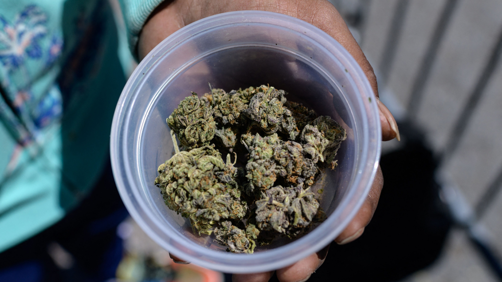 Best Strains For Pain Best Strains For Pain