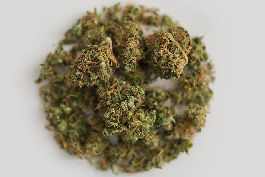 How to Grow Weed at home How to Grow Weed at home